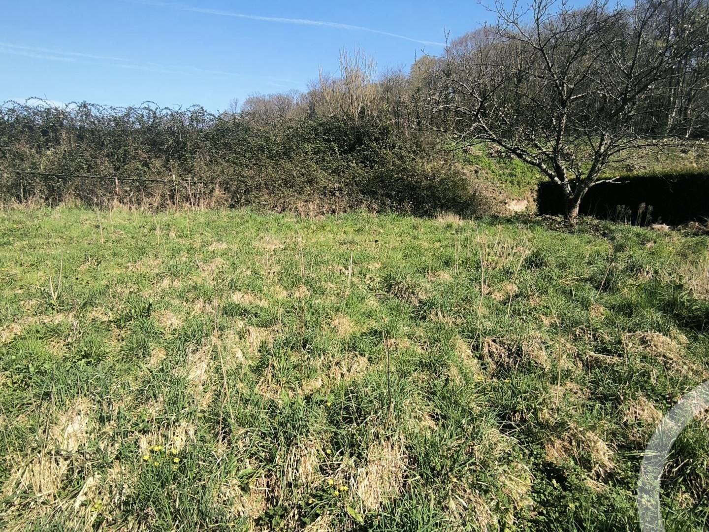 Terrain 496 m²