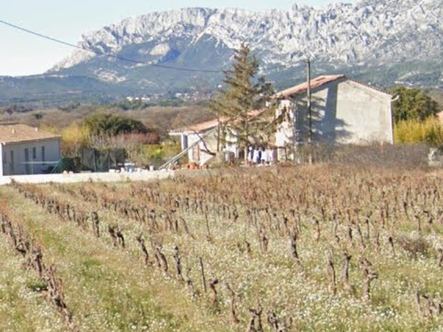 Terrain 501 m²
