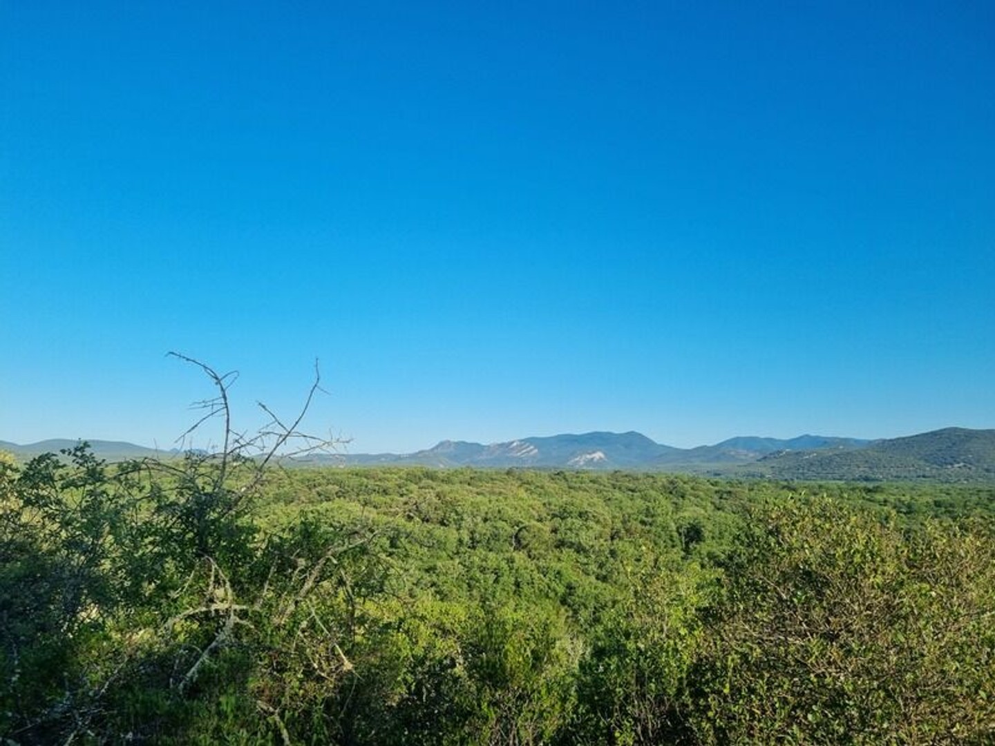 Terrain à vendre avec Mazet en pierre SAUVE (30)