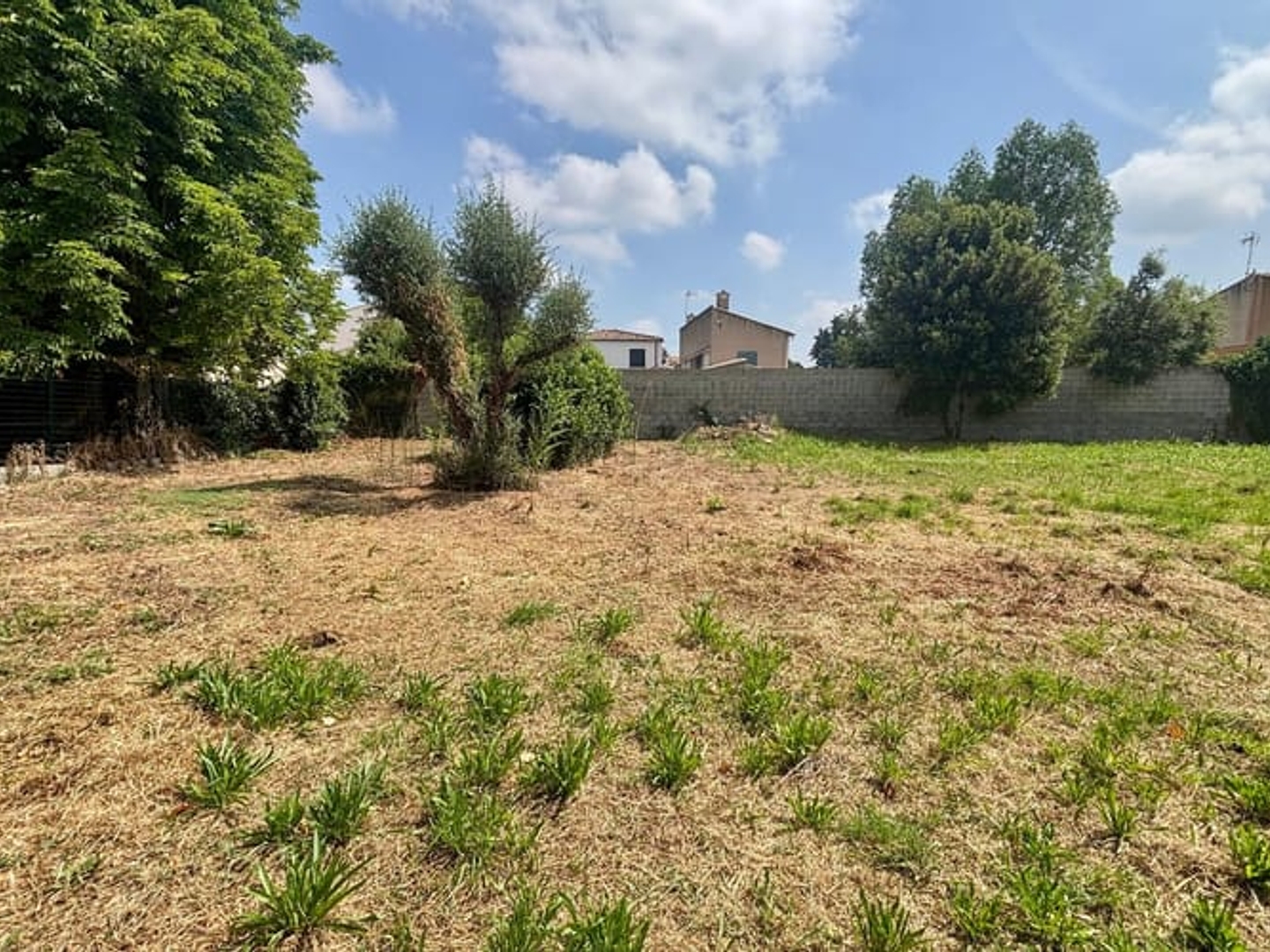 Terrain 347 m²