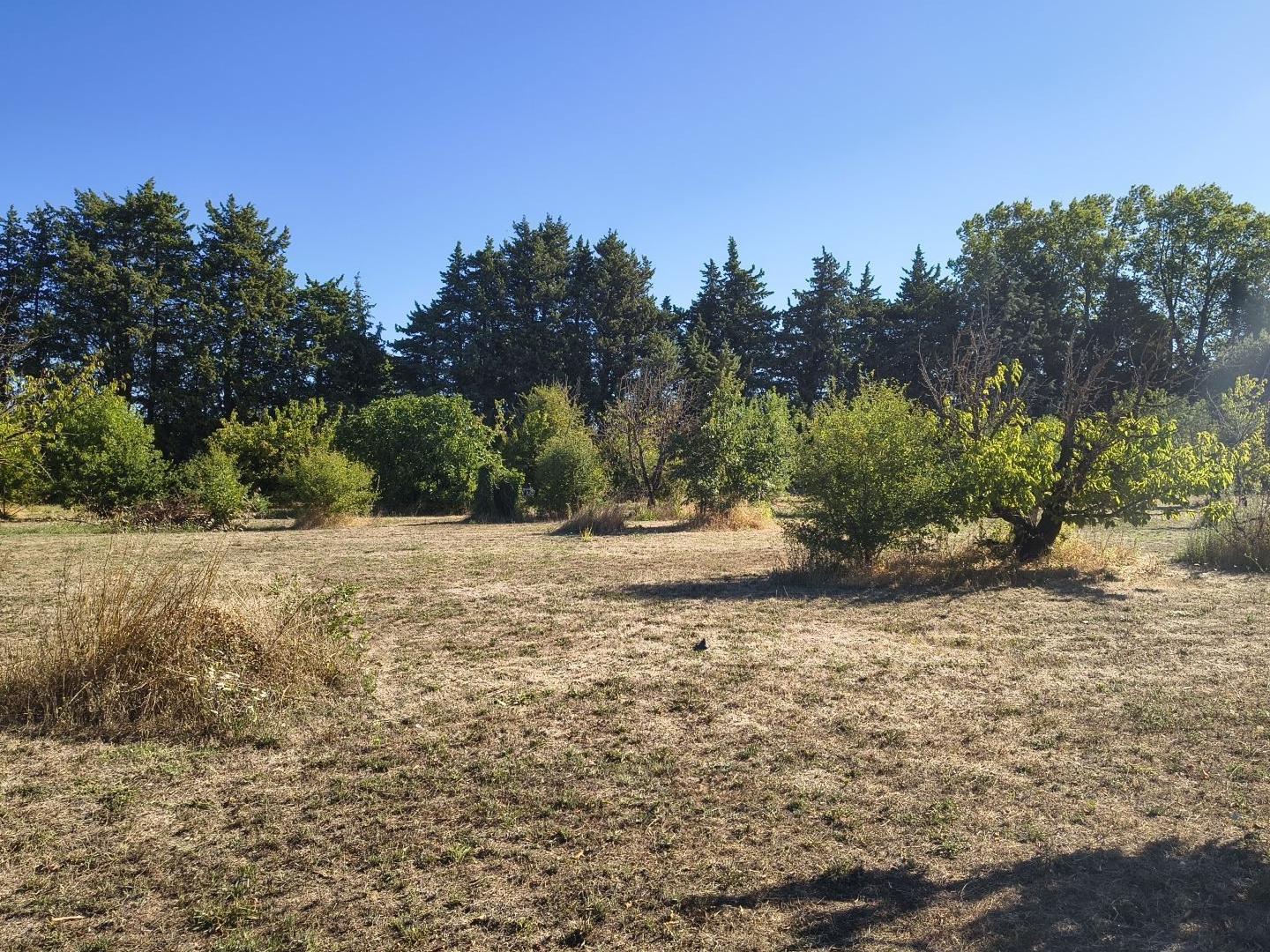 Terrain 1500 m²