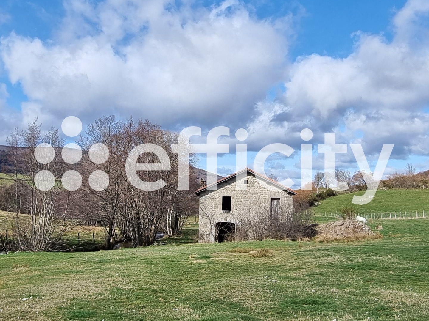 Maison à vendre - 1 pièce - 60m2 - Paulhac-En-Margeride (48140)