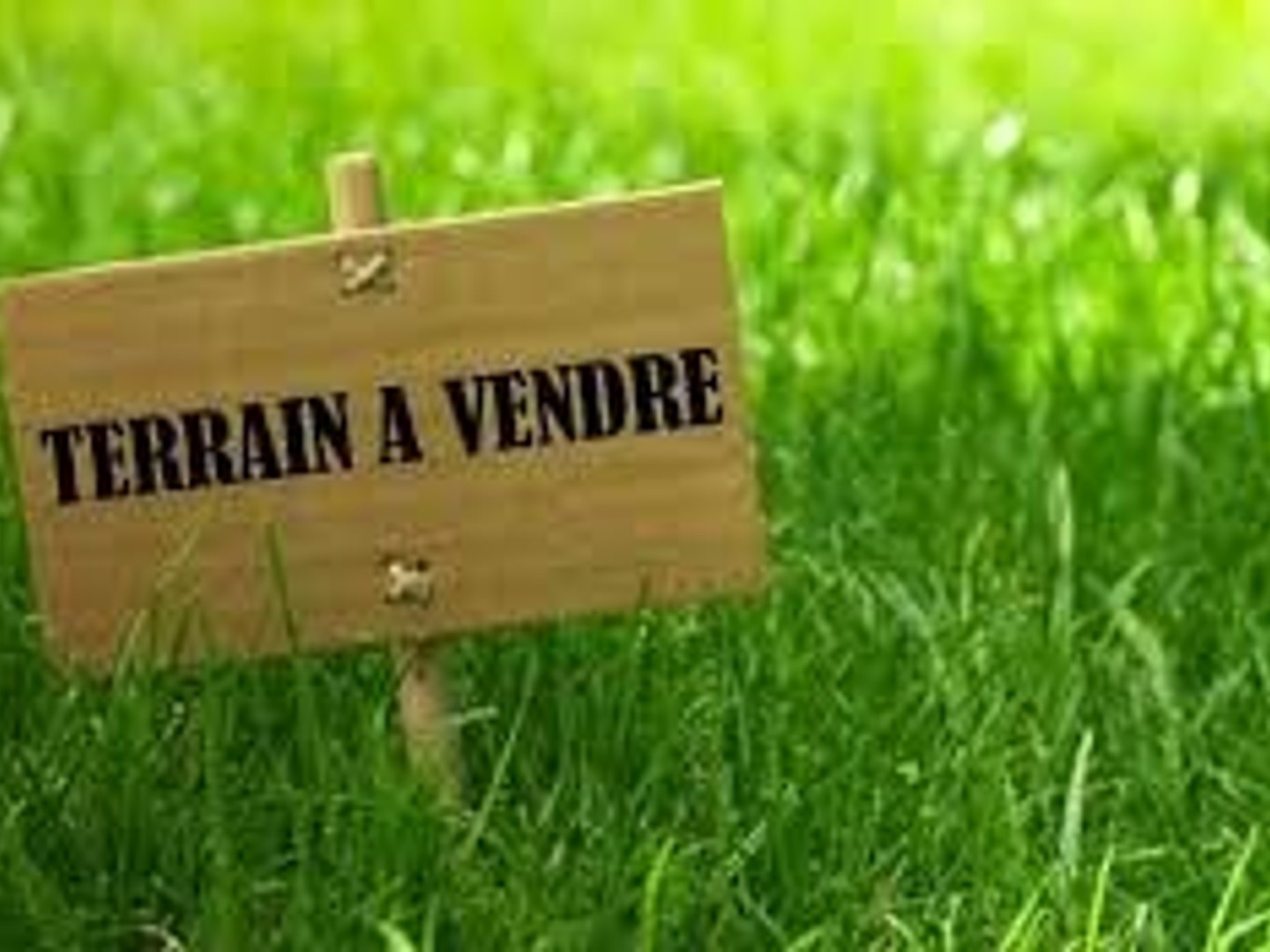 Terrain 8010 m²