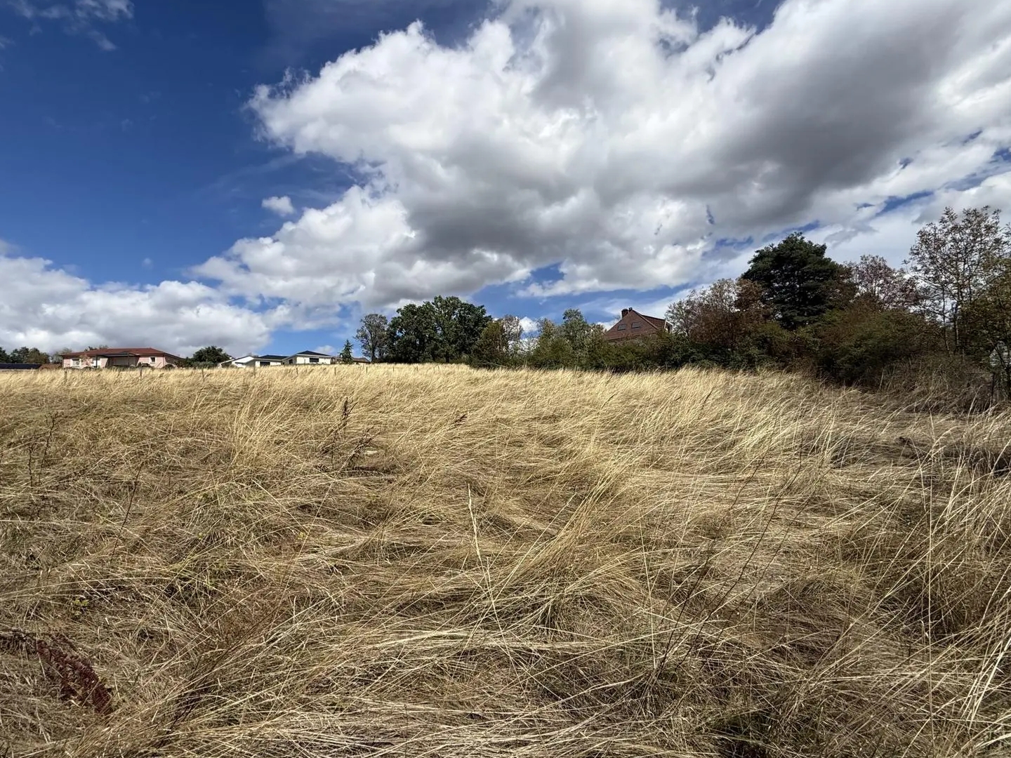 Terrain à vendre - 1898m2 - Busset (03270)