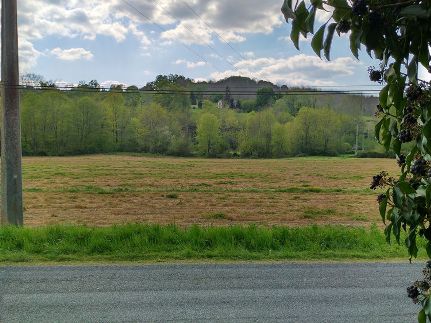 Terrain à vendre - 4267m2 - Saint-Faust (64110)