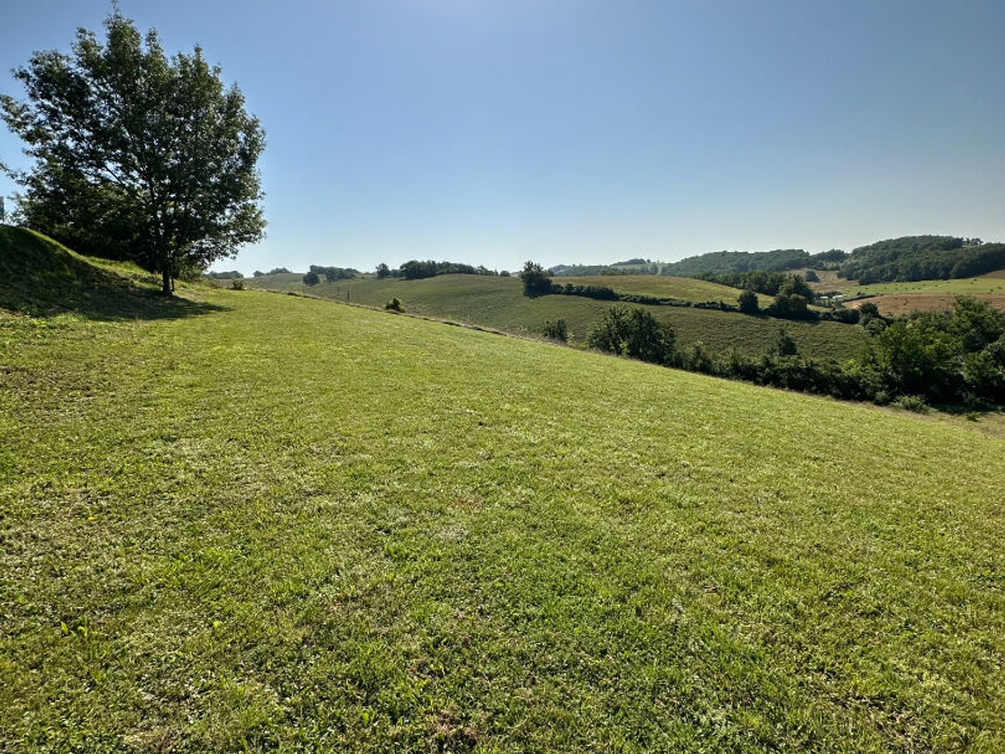 Terrain à vendre - 5283m2 - Miramont-D'astarac (32300)