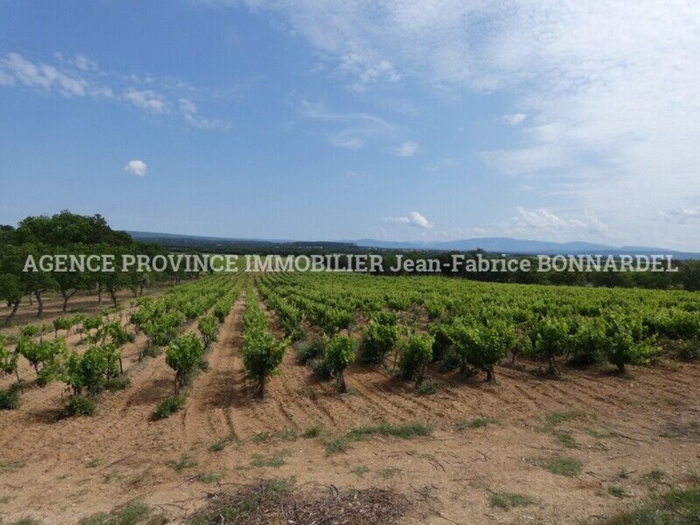 Terrain agricole