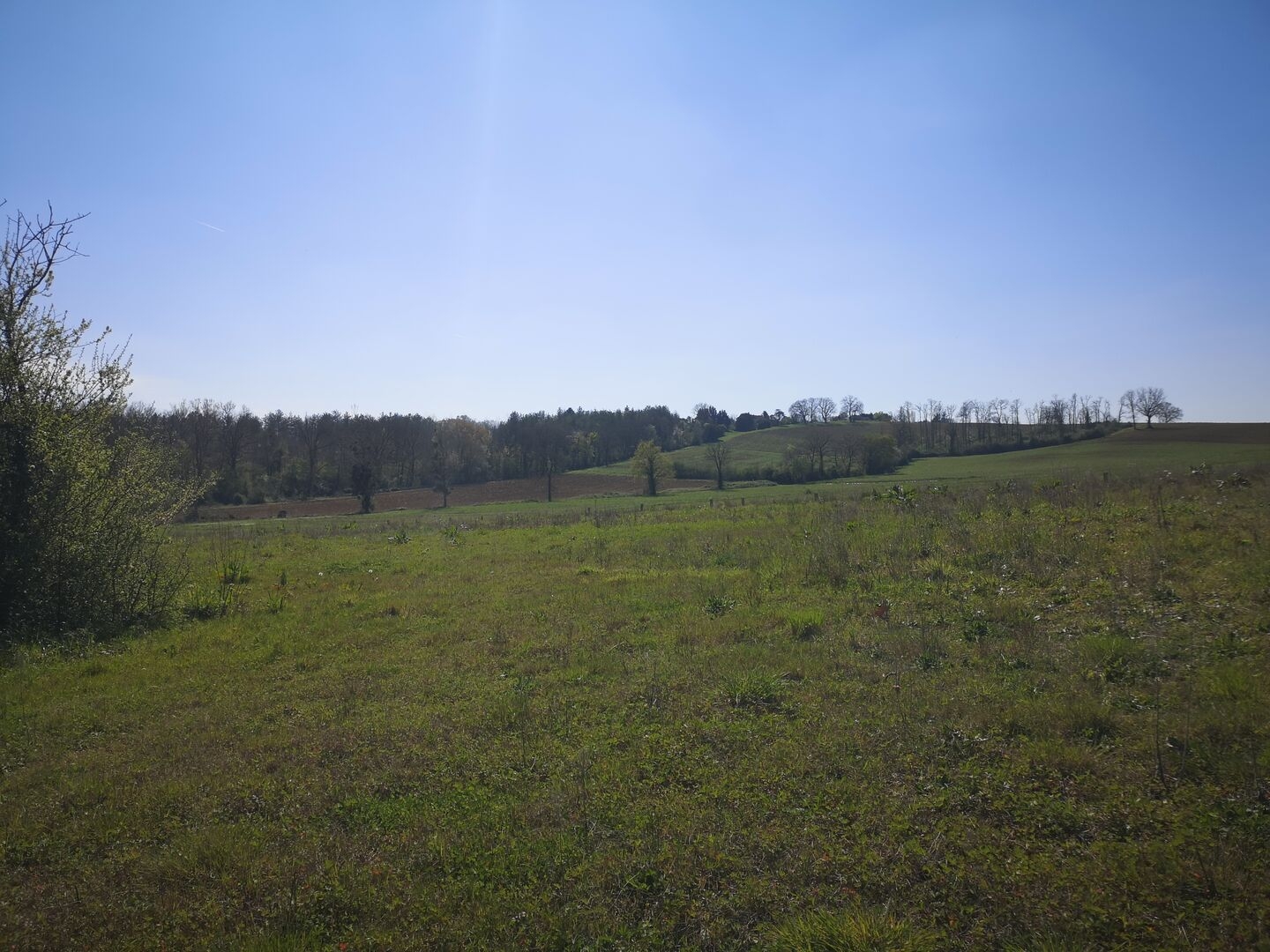 À vendre, Gers : terrain agricole de 2,6 ha à vendre en périphérie de Marciac