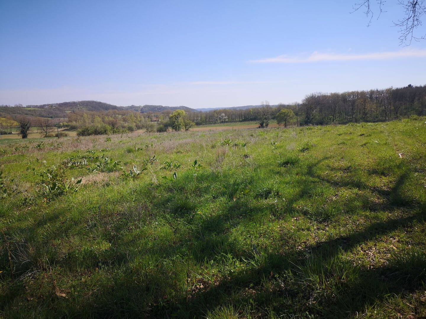 Terrain à vendre - 26000m2 - Marciac (32230)