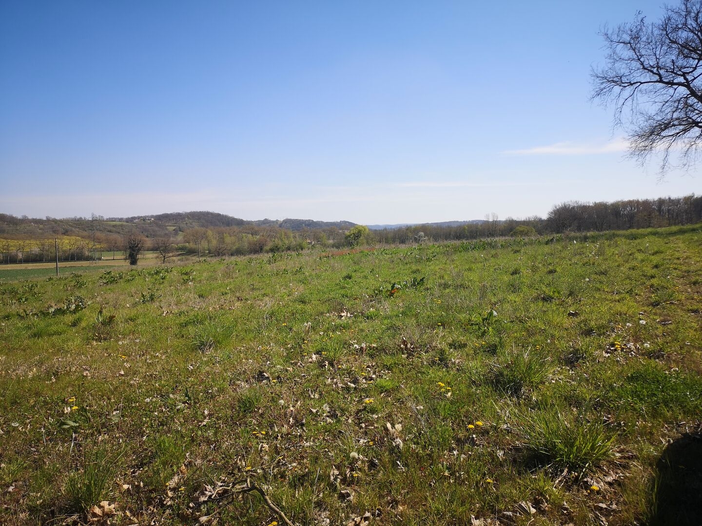 Terrain à vendre - 26000m2 - Marciac (32230)