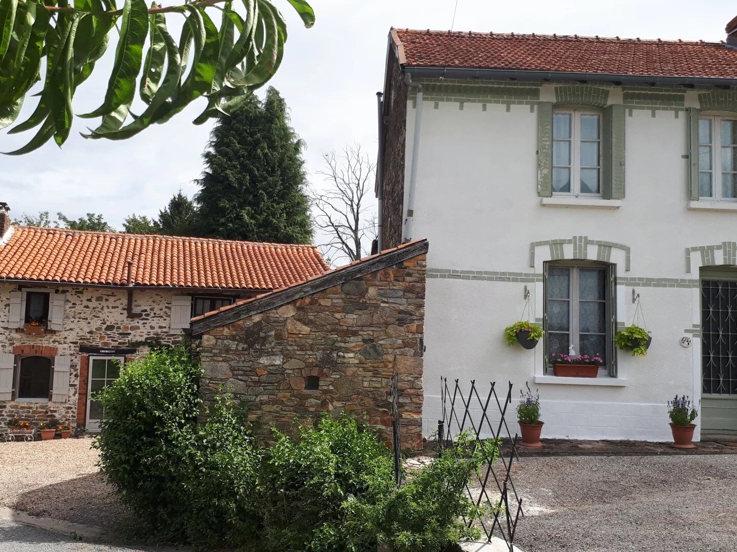 Maison avec gîte à vendre - Bussière-Poitevine - 87
