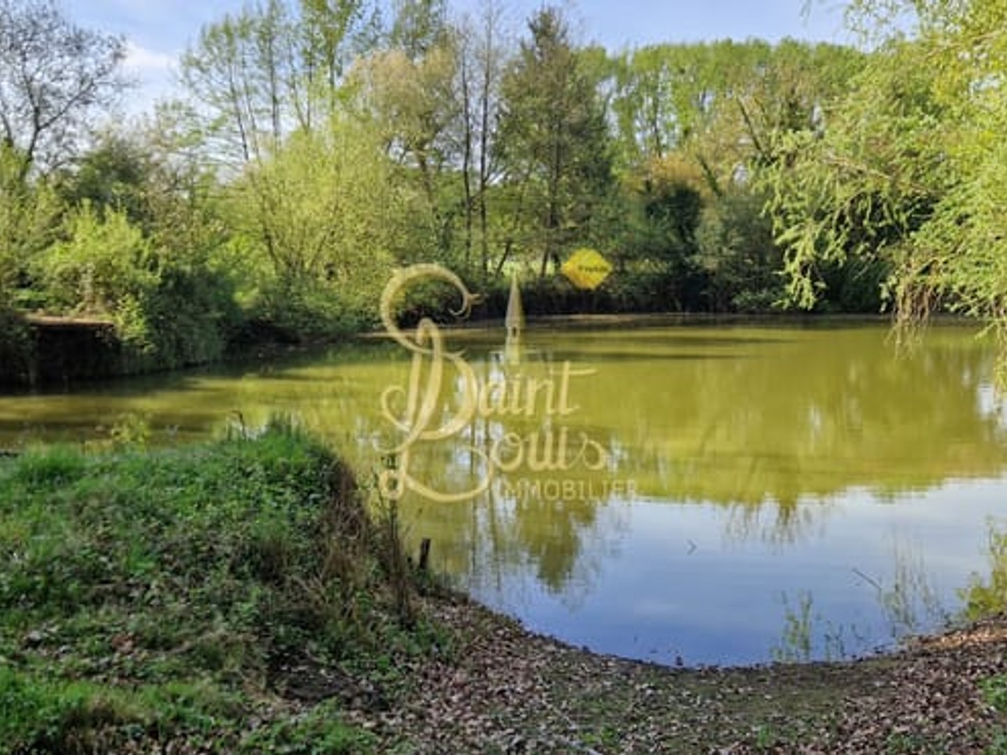 BEL ETANG SUR 4100 M2 ENV AVEC CHALET DE 20 M2 ET TERRASSE COUVERTE