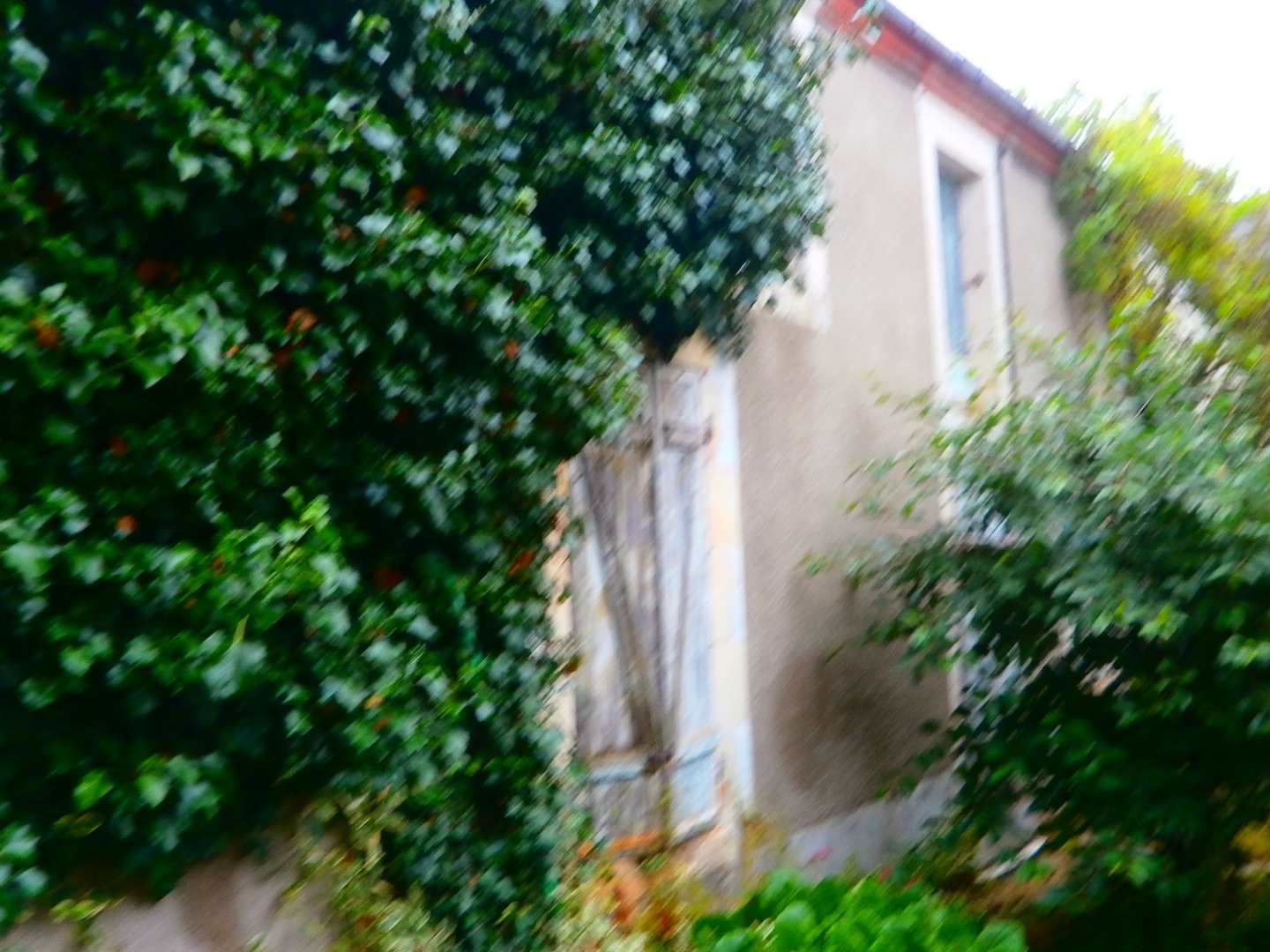 Bureaux à vendre - 1 pièce - 55m2 - Les Bordes (36100)