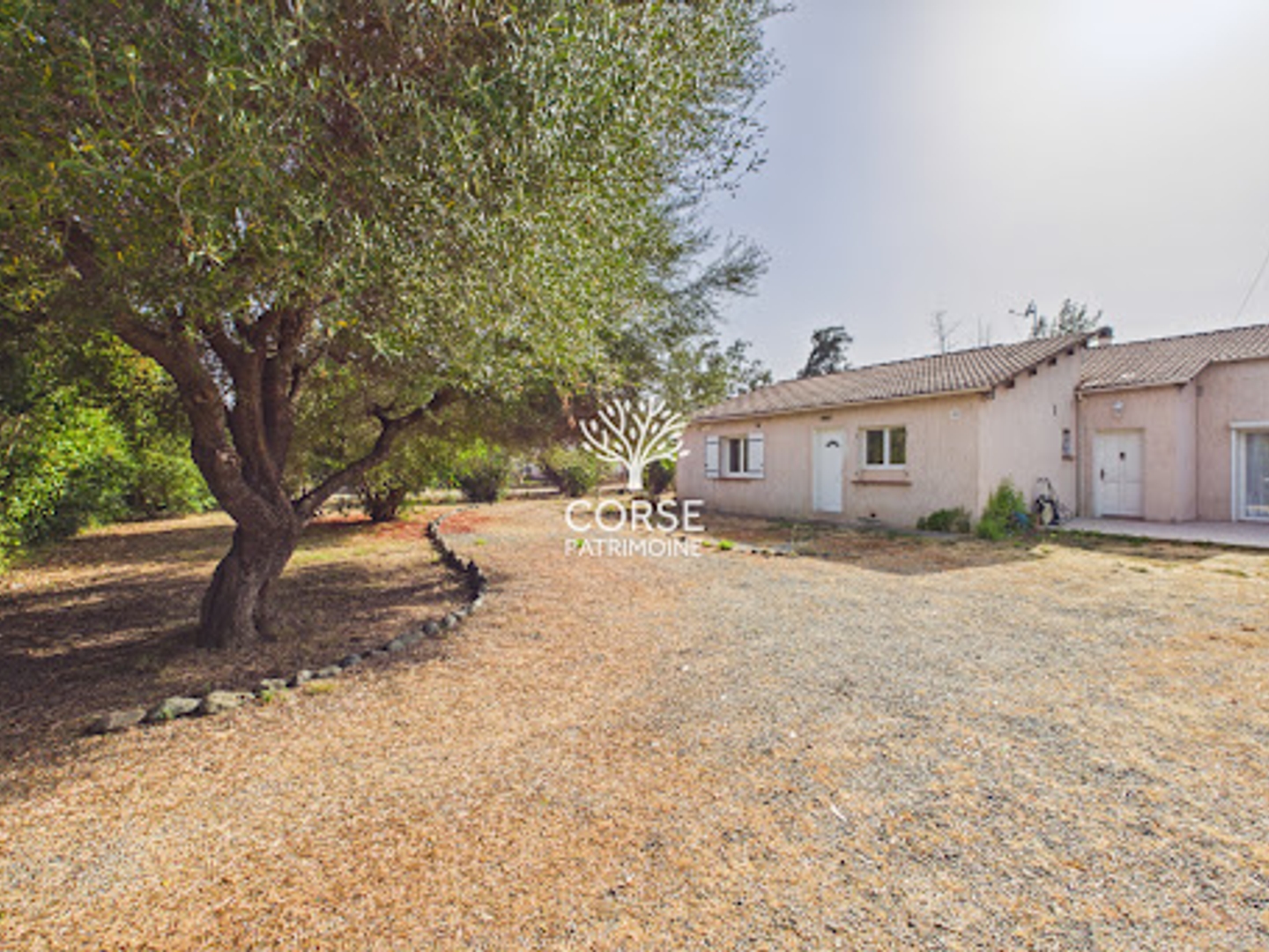 Maison à vendre - 6 pièces - 190m2 - Prunelli-Di-Fiumorbo (20243)