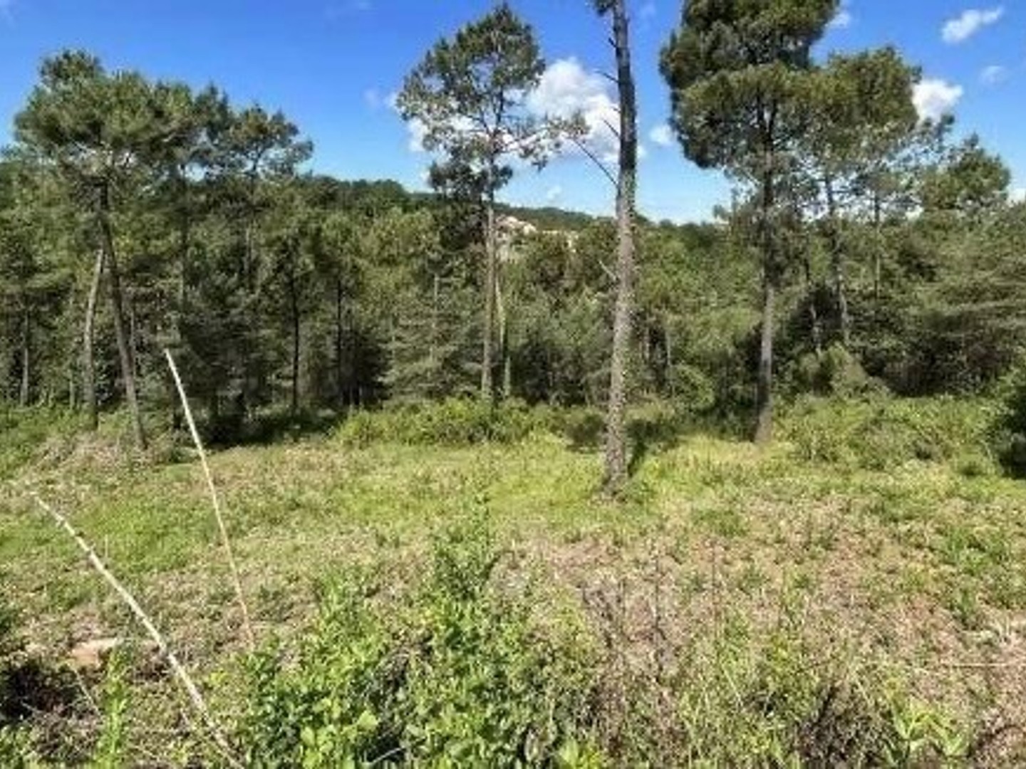 TERRAIN A BATIR - COURSAC