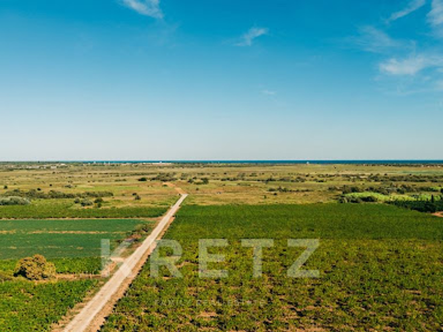 Vignoble 200000 m²
