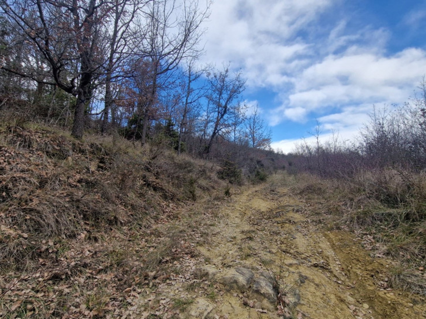 Terrain 9080 m²