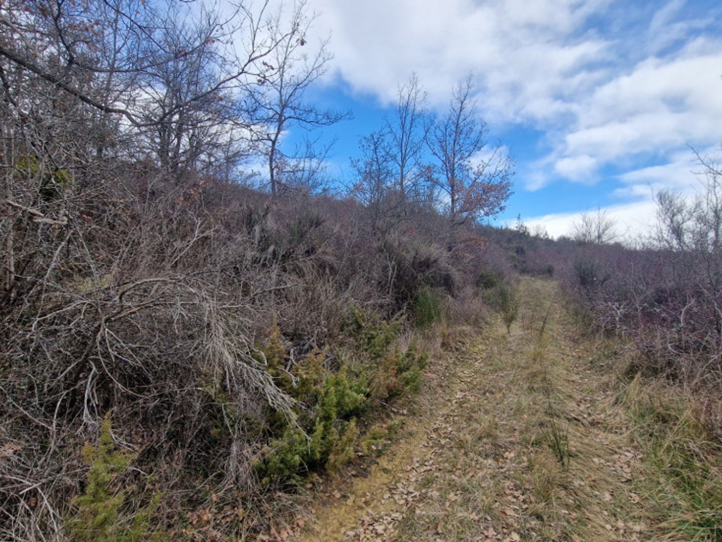 Terrain à vendre - 9080m2 - Antugnac (11190)