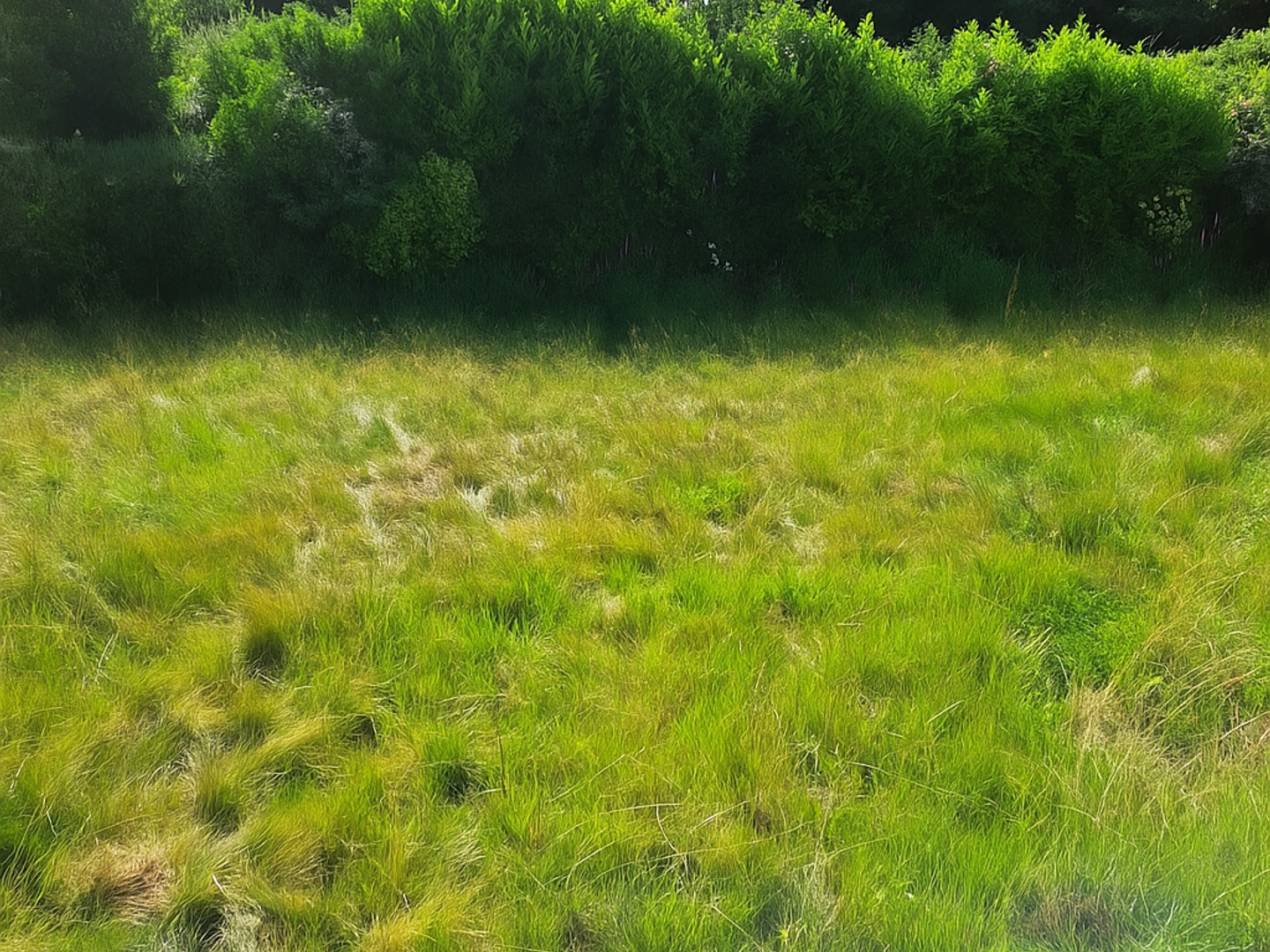 Terrain en individuel 236 m²