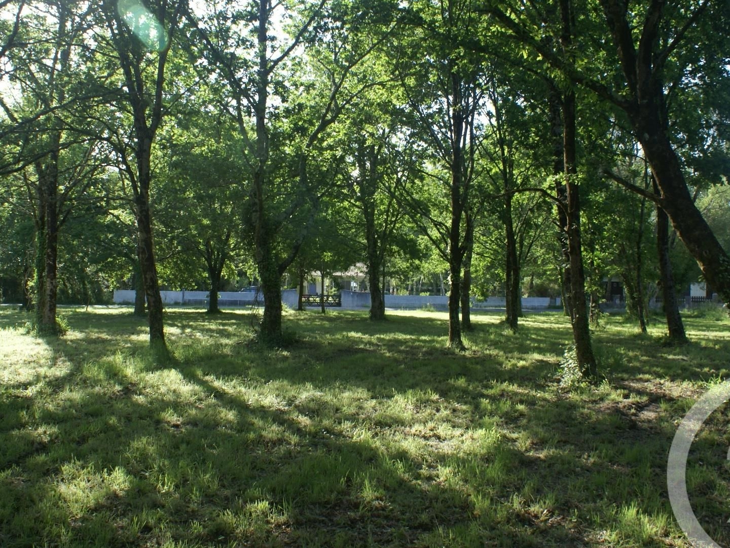 Terrain à vendre - 3960m2 - Saint-Vivien-De-M... (33590)