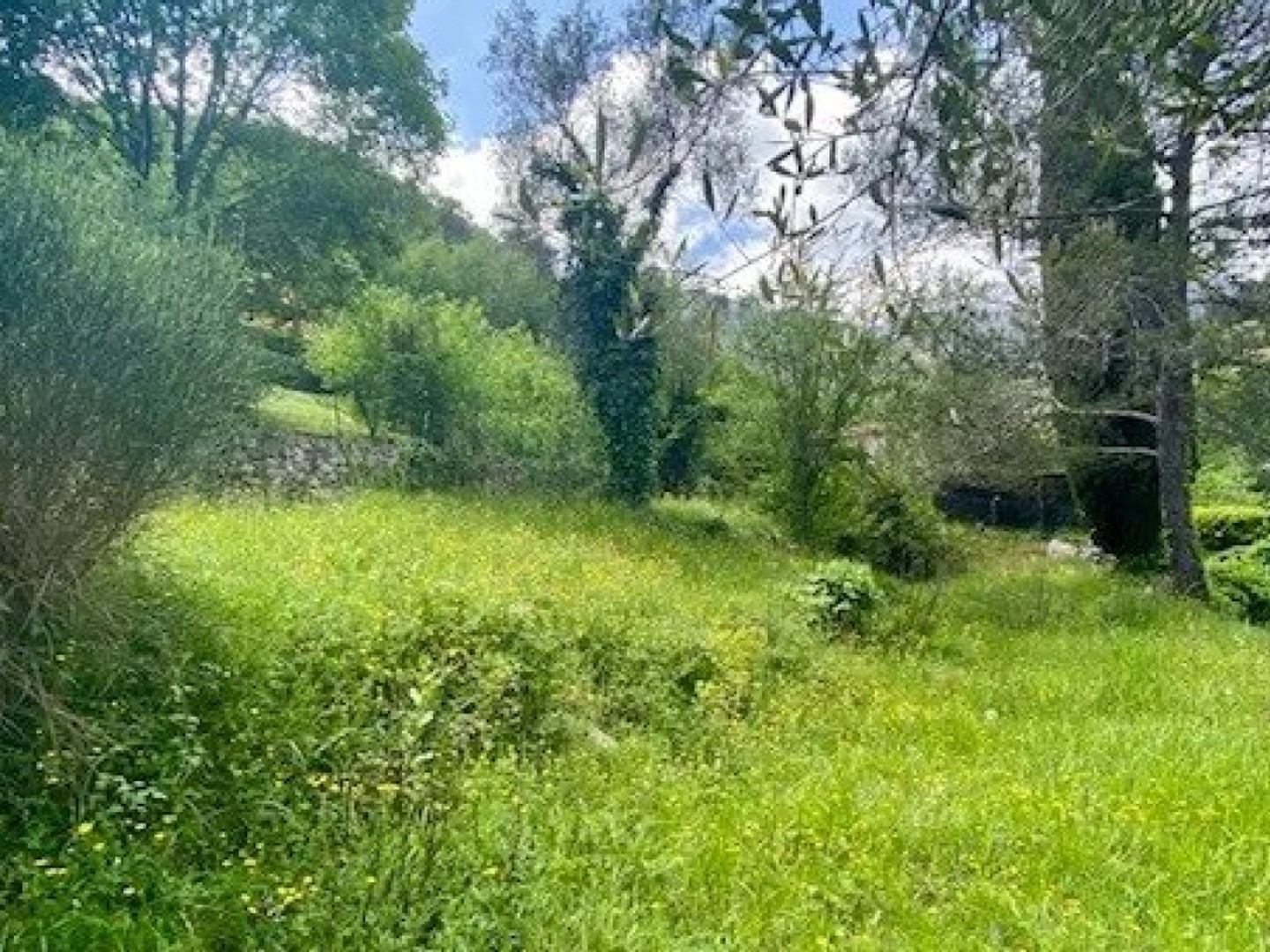 TERRAIN CONSTRUCTIBLE AVEC PERMIS
