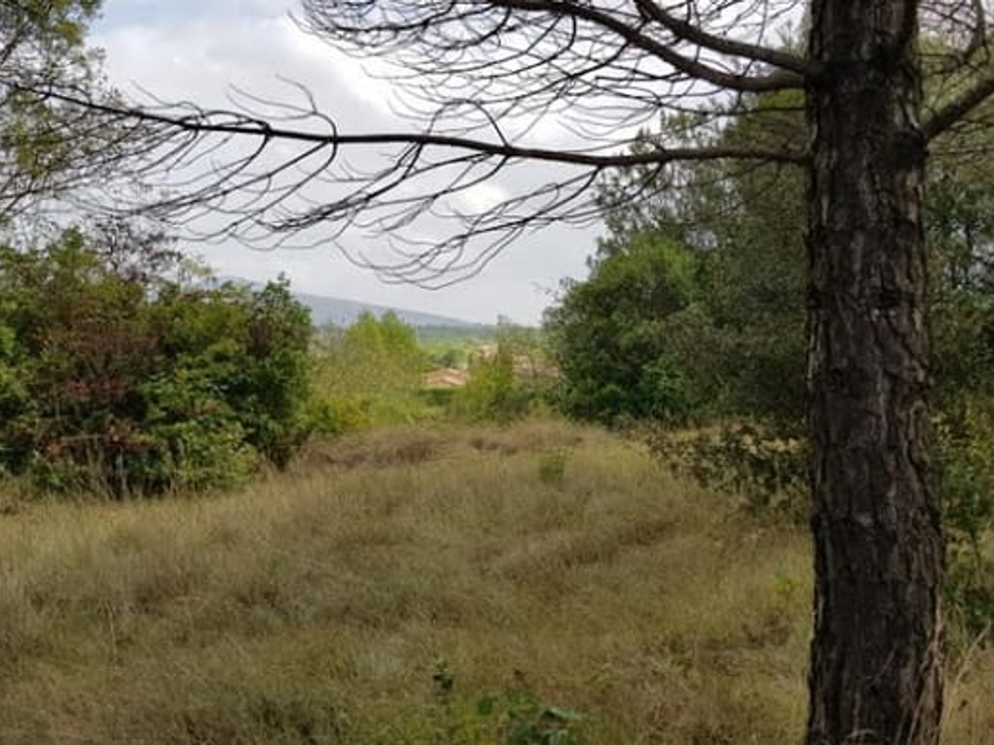 Maison 5 pièces 95 m²