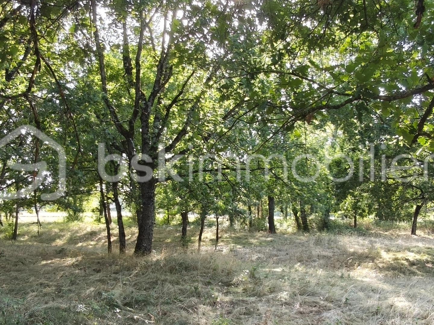 Terrain 1645 m²