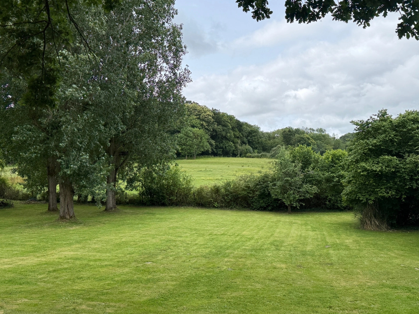 Terrain 980 m²