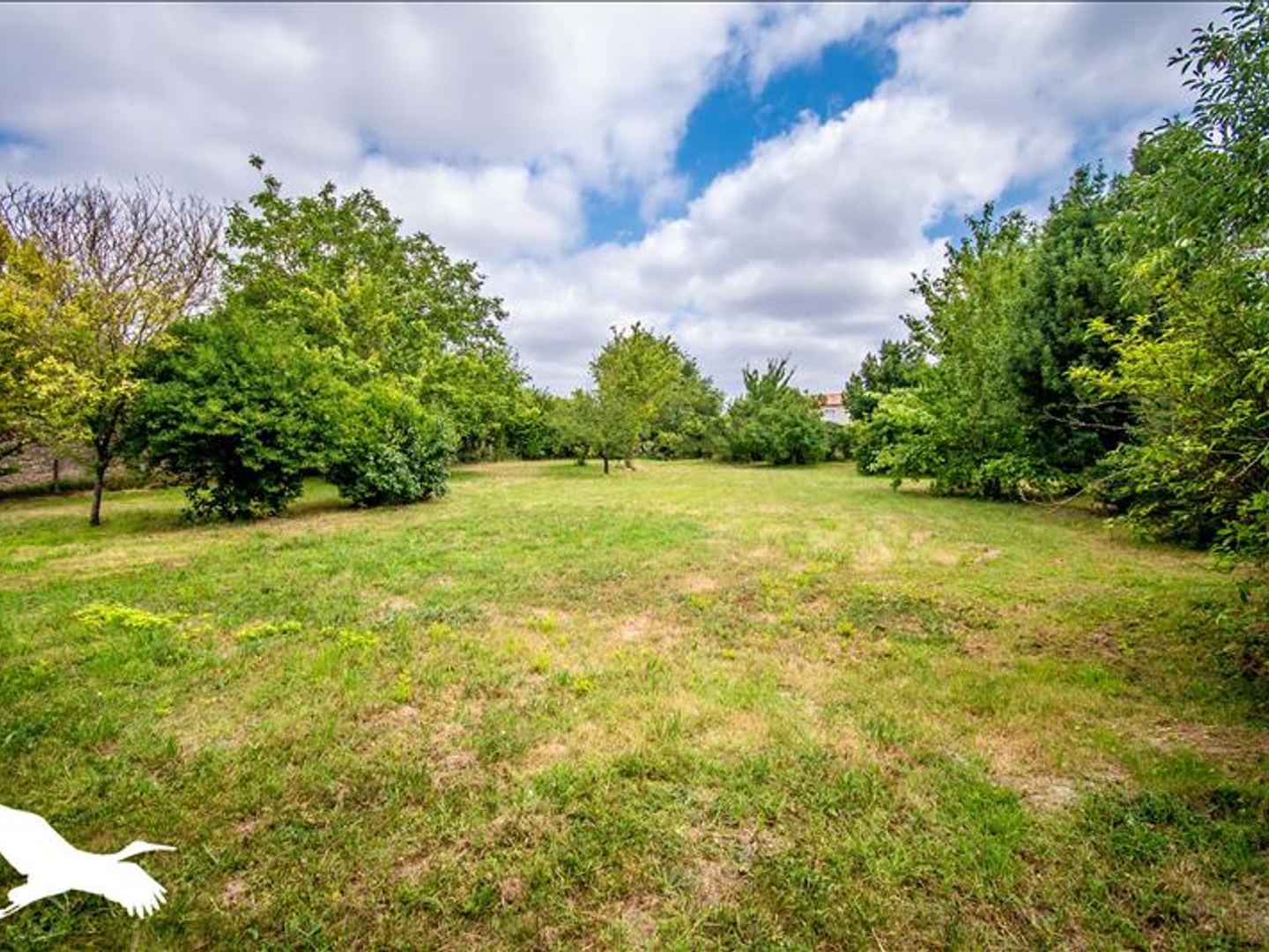 Maison à vendre - 6 pièces - 223m2 - Les Cassés (11320)