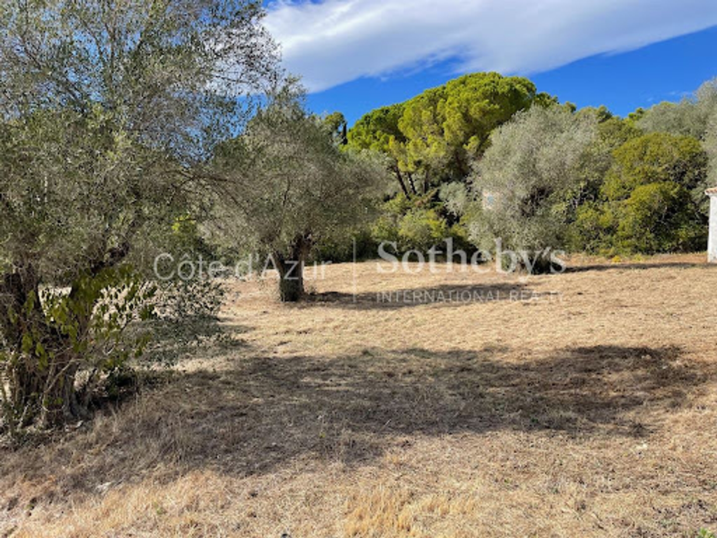 Terrain 18173 m²