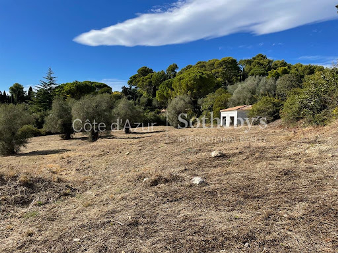 Terrain à vendre - 18173m2 - Mougins (06250)
