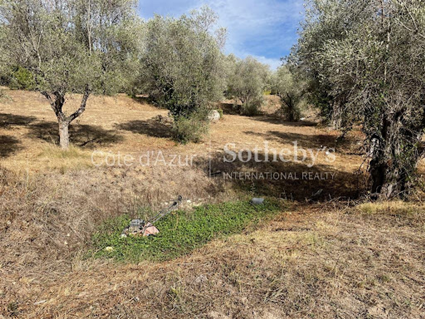 Terrain à vendre - 18173m2 - Mougins (06250)
