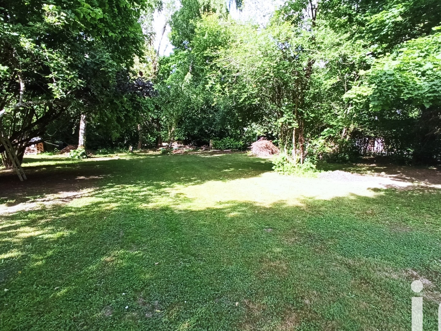 Terrain 4646 m²