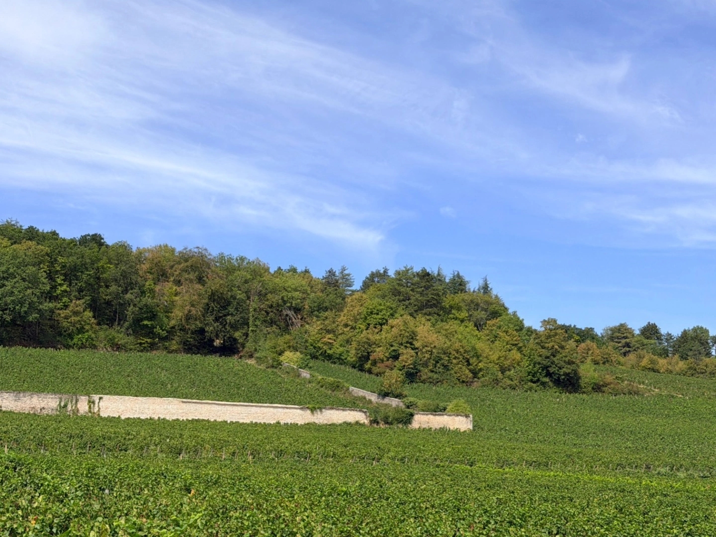 Maison à vendre - 6 pièces - 127m2 - Chenôve (21300)