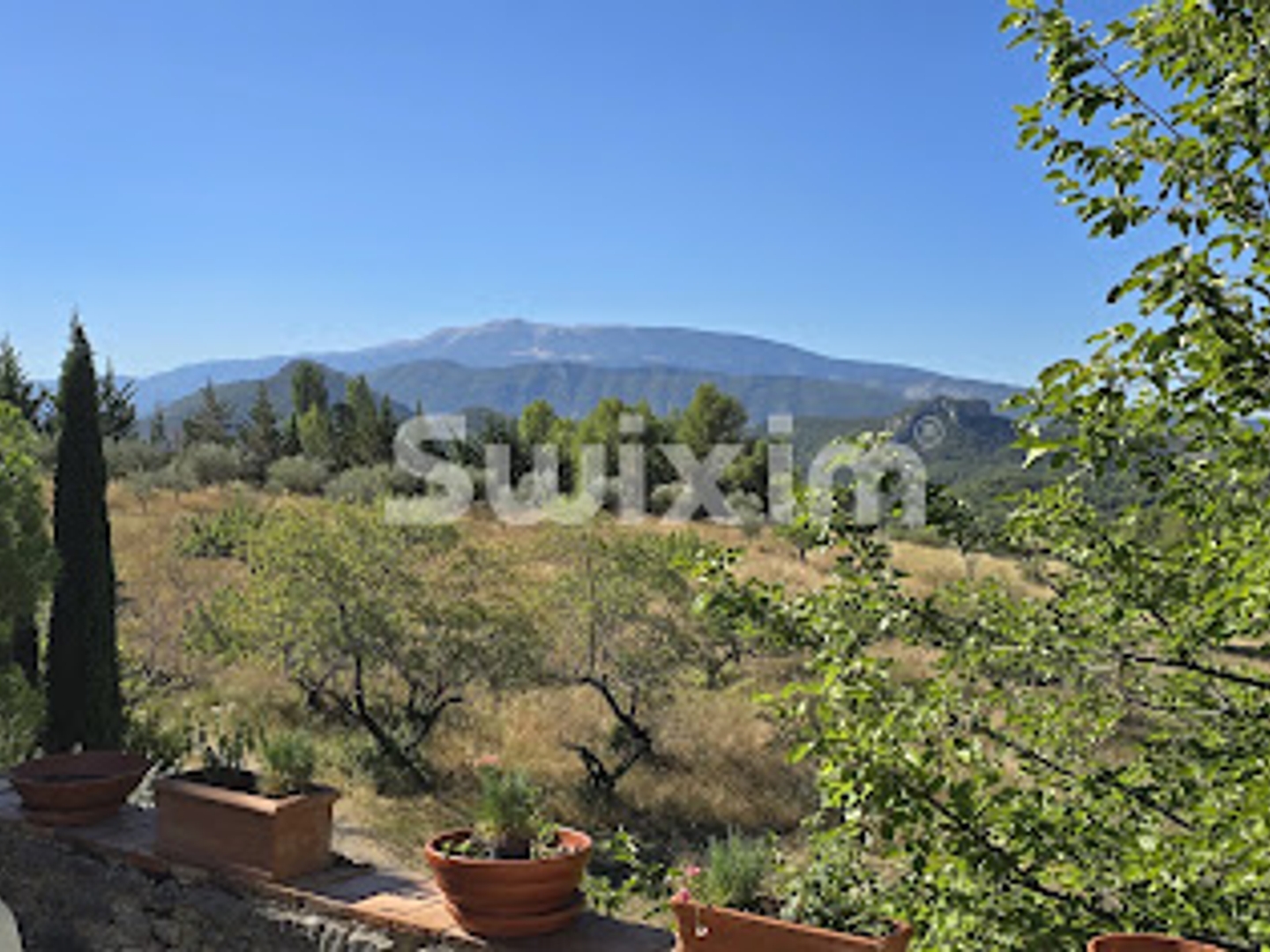 Maison à vendre - 12 pièces - 460m2 - Vaison-La-Romaine (84110)