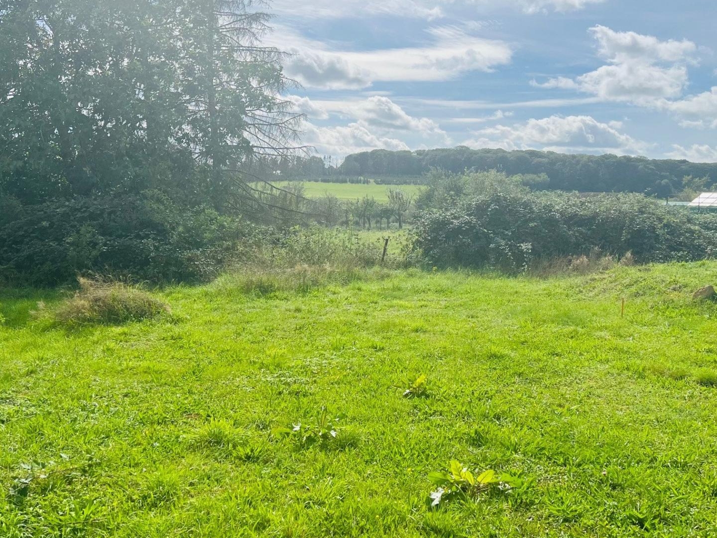 Terrain à vendre - 1584m2 - Roussy-Le-Village (57330)