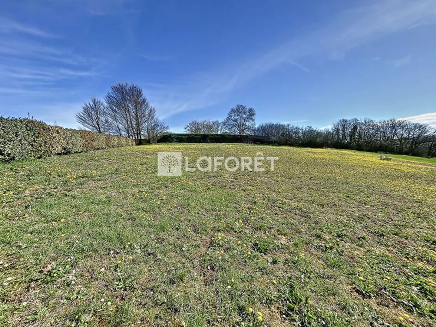 Terrain 770 m²