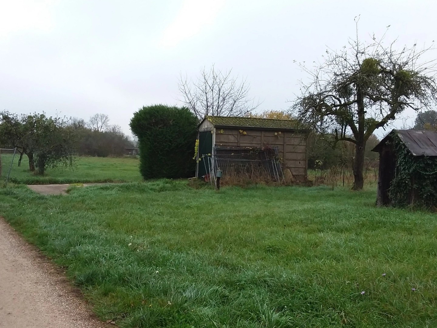 Terrain 1286 m²