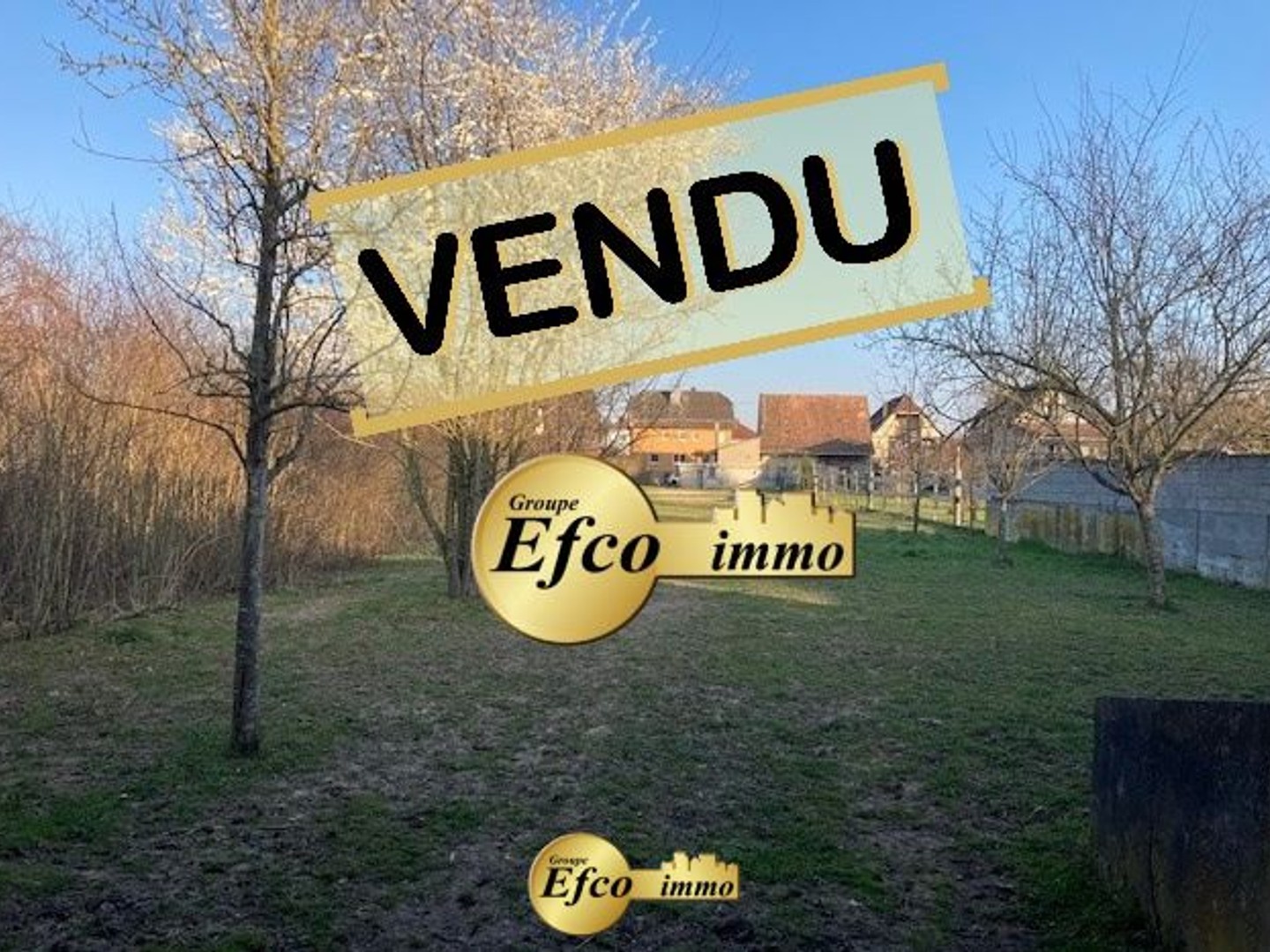 Terrain 2336 m²