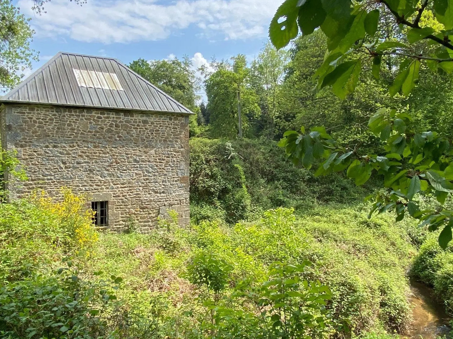 Terrain à vendre - 14821m2 - Les Portes Du Cog... (35460)