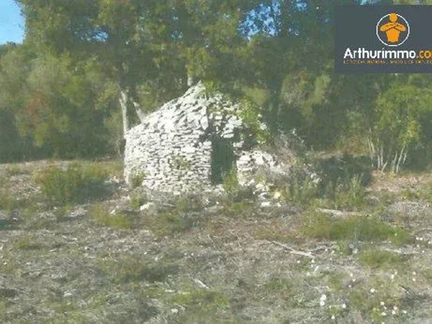 Terrain 23600 m²