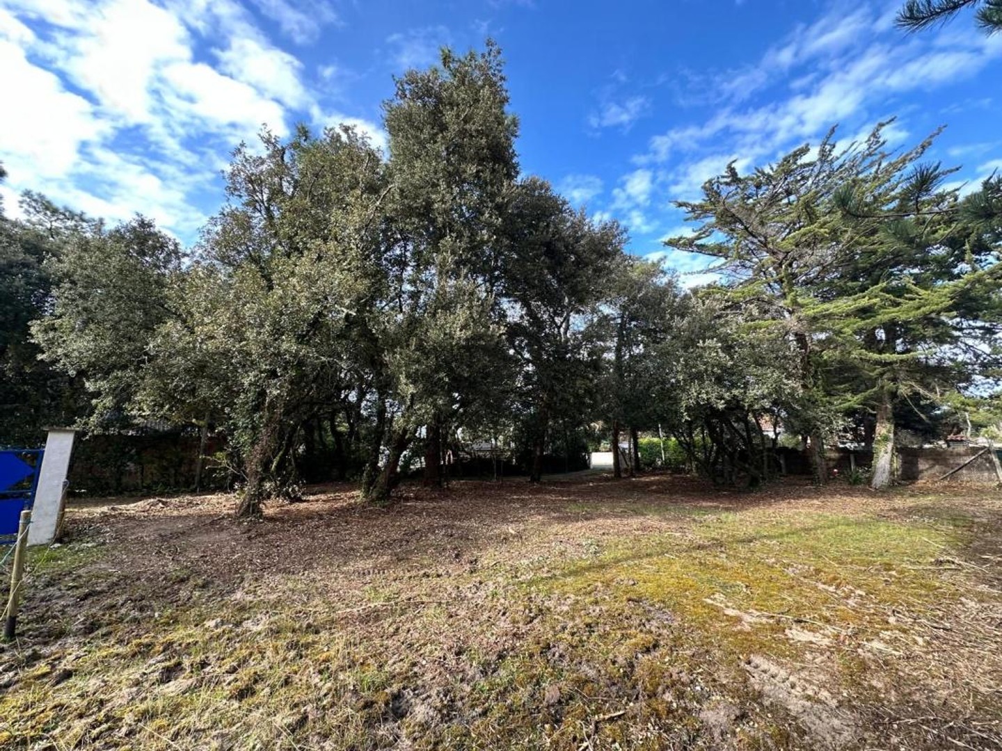 Terrain 676 m²