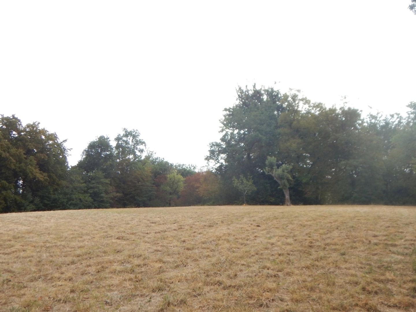 Terrain 1250 m²