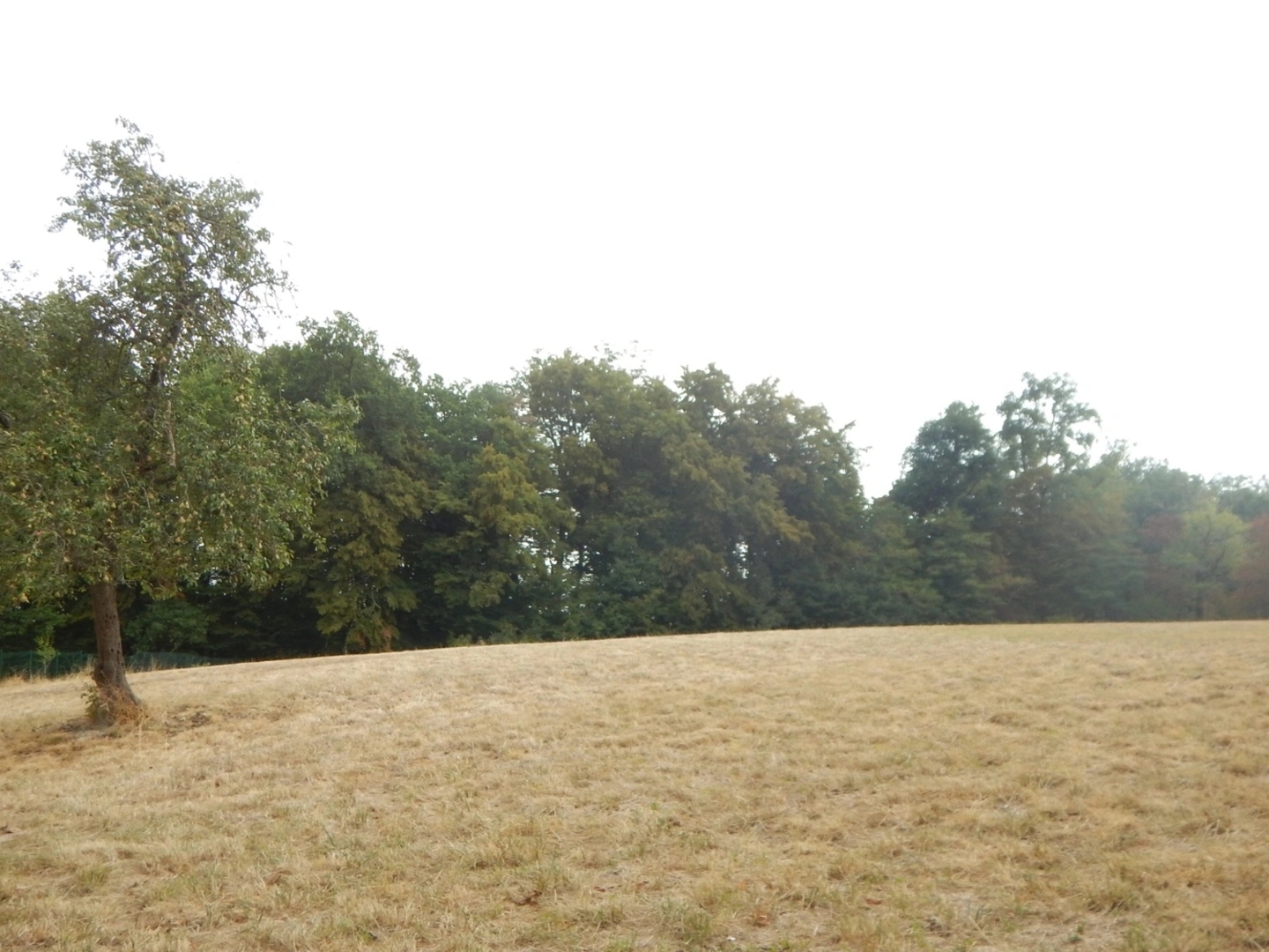 Terrain à vendre - 1250m2 - Champcevinel (24750)