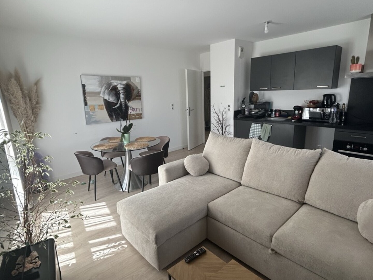 appartement