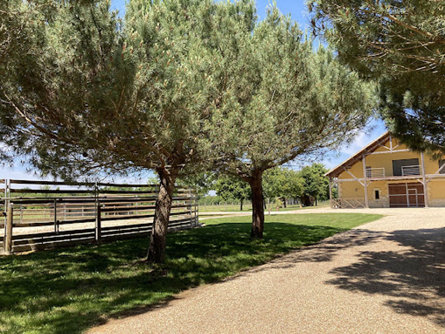 Propriété 13 pièces 480 m²