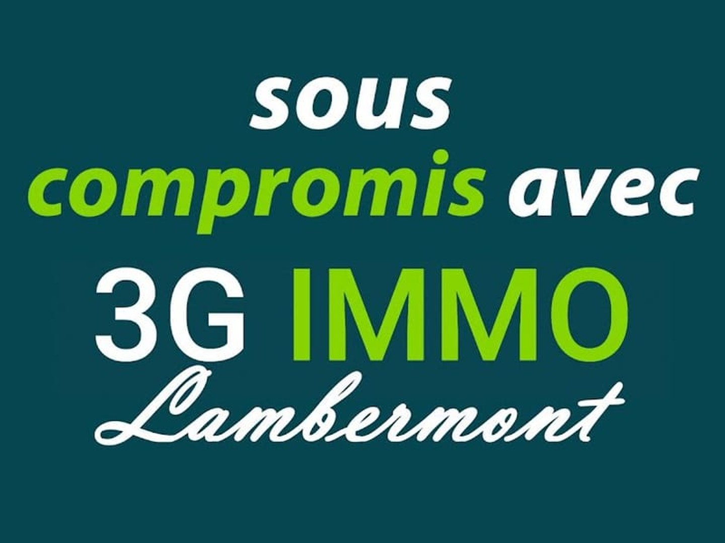 Appartement 1 pièce 74 m²