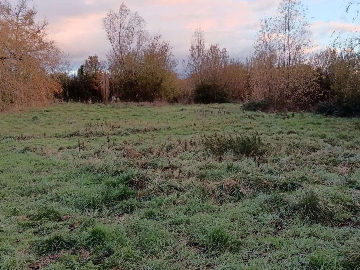 Terrain 579 m²