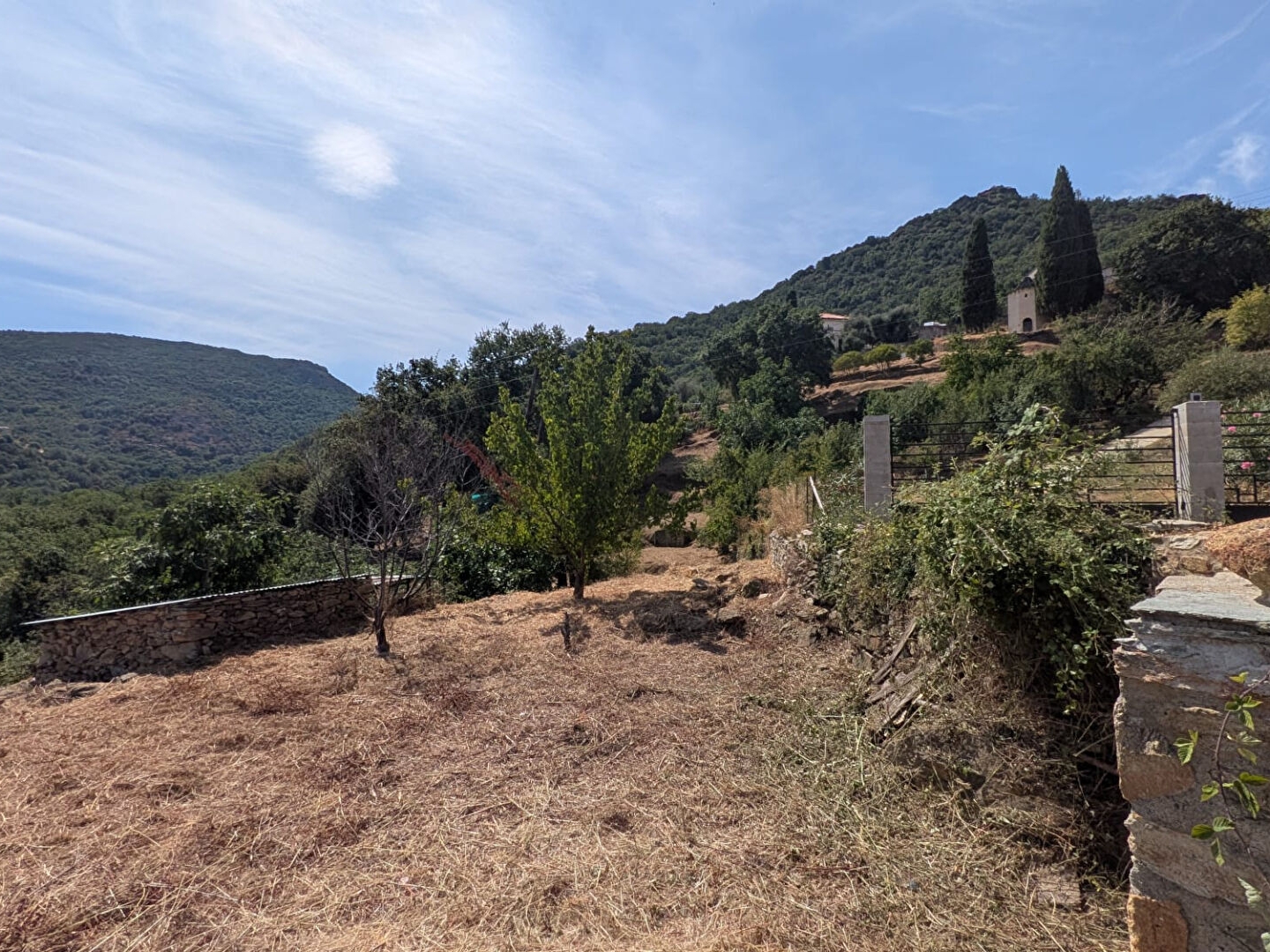 Terrain à vendre - 3132m2 - Sorio (20246)