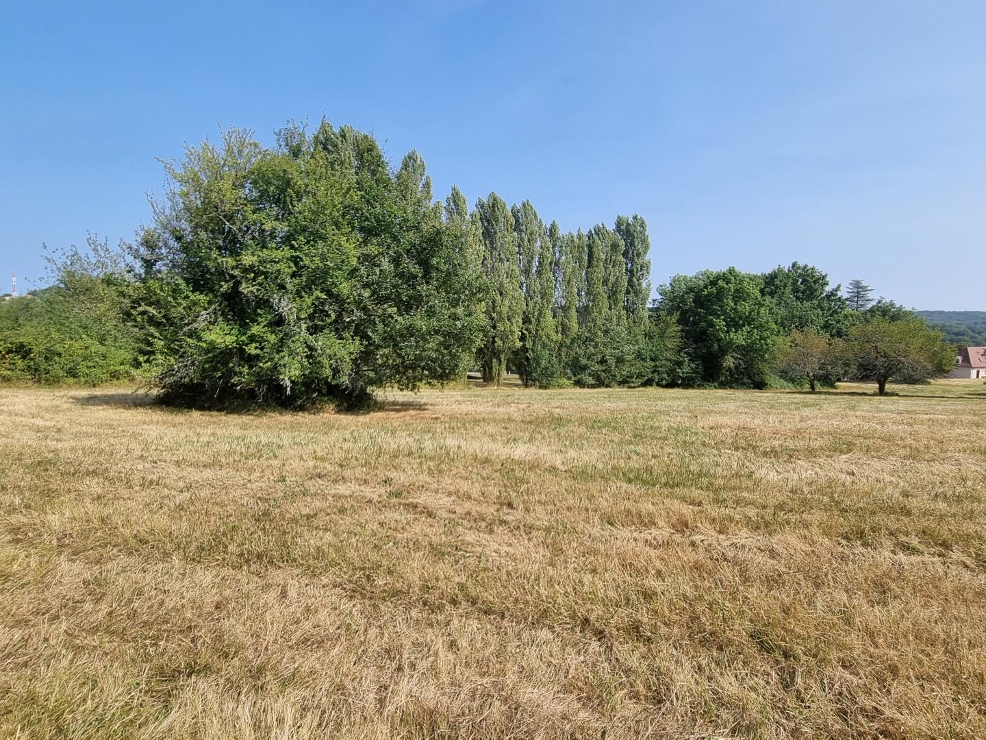 Terrain à vendre - 2000m2 - Nontron (24300)
